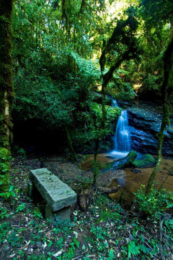 Na Fazenda C/ Piscina Termica Palmeira (Parana)